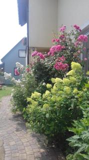 Apartament Brooklyn z prywatnym polem do gry w Mini Golf - Rewal - 1