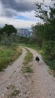 Apartmani Paron Šime - 1