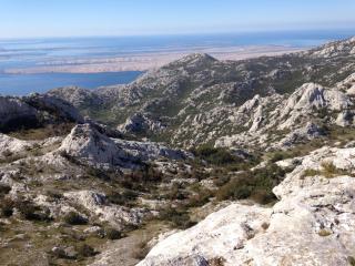 Apartmani Paron Šime - 2