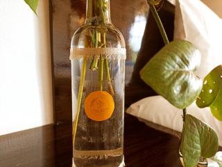 Casa De Los Pájaros - B&B - 3