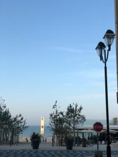 Le Spot, appartement spacieux à 30m de la mer 45m2 - Luc-sur-Mer - 9