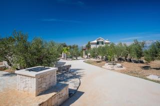 Olive Park House Brač - Povlja - 1
