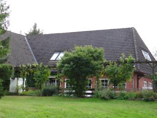 Hotel zum Fährhaus - Parchim - 6