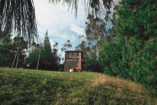 Paradise Glamping - 7