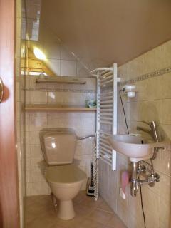 Hotel Lesní dům - Janské Lázně - 7