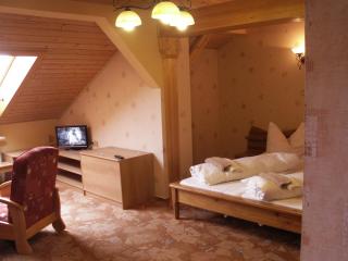 Hotel Lesní dům - Janské Lázně - 6