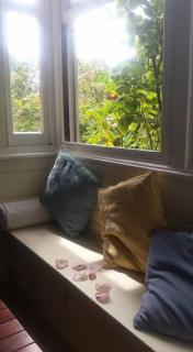 Dowling Cottage - tranquil haven in Blackheath - Blackheath - 8