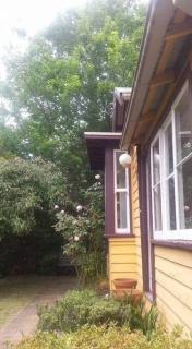Dowling Cottage - tranquil haven in Blackheath - 5