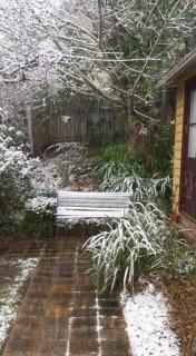 Dowling Cottage - tranquil haven in Blackheath - 1