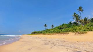 Bandulas Beach House - Hikkaduwa - 1