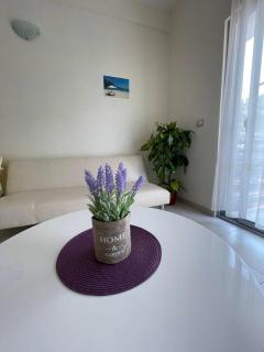 Aparthotel Vila Tufi - Velipojë - 7