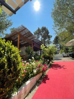 Aparthotel Vila Tufi - Velipojë - 6