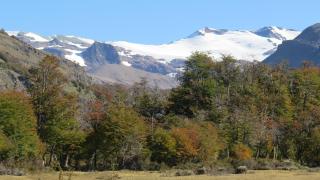 Calafates y lavandas - 2