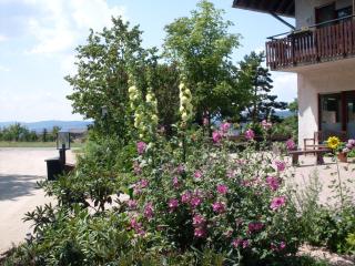 Hotel Wildenburger Hof - Kempfeld - 3