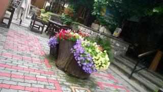 Albergo Martinet - Vernante - 9