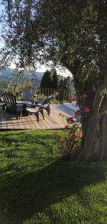 Les lodges de l'oliveraie de Virevent - Grasse - 4
