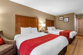 Comfort Inn & Suites Cedar Rapids North - Collins Road - Cedar Rapids - 3