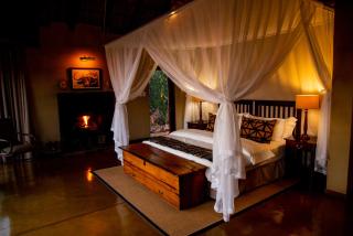 Nungubane Game Lodge - Welgevonden Game Reserve - 9