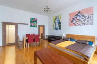 Apartment Sirius D in center of CB. - České Budějovice - 8