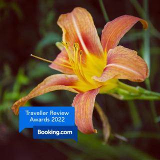 La petite Pierrette - 9