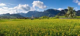Pension Vendel - Pfronten - 9