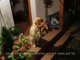 Beste Zeit Ferienwohnung - 2