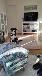 Haus am Hennesee - 9