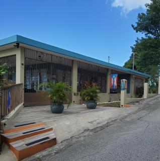 Casa Campo y mis Memorias-2ND LEVEL-with pool - Hormigueros - 9