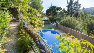 Dama - Mont Barbat - 8