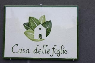 Casa delle foglie - San Giovanni la Punta - 9