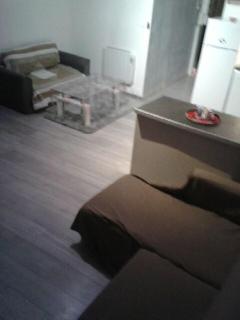 superbe t2 centre de cognac - Cognac - 1
