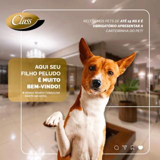 Class Hotel Pouso Alegre - Pouso Alegre - 4