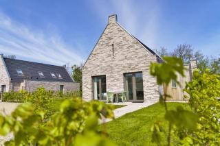 Callant's Oog - Callantsoog - 6
