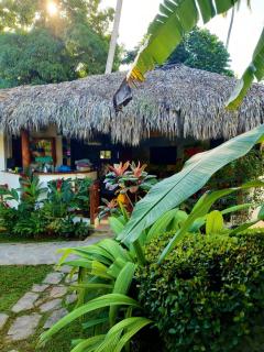 Residence Nord Est - Las Terrenas - 9