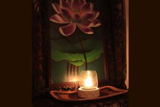 HOTEL CHECK INN BALI adult only - 5