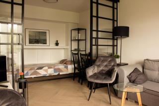 Luxurious, Spacious, Modern Gem. Great Location ! - 2