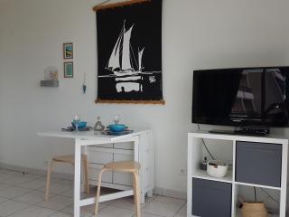 Appartement T2 vue mer les pieds dans l'eau avec parking privé - Saint-Jean-de-Monts - 5