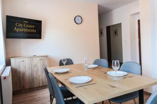 Apartament City Center Standard 6 - Krynica-Zdrój - 7