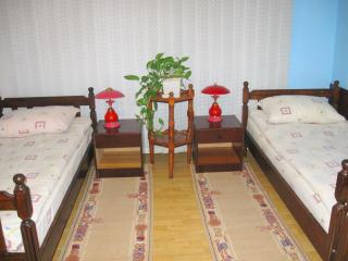 Amfora Rooms Caribrod - Dimitrovgrad - 5
