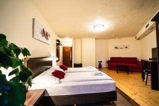 Hotel Koruna Prachatice - Prachatice - 1