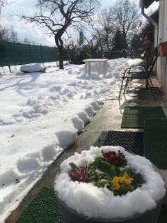 Casuta Sanatatii - 1