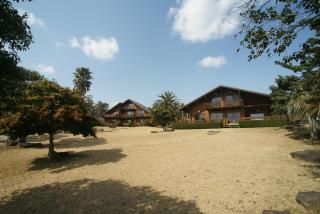 Sunny Day Jeju - Seogwipo - 6