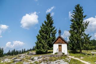 Ferienwohnung in Unterwirts Almhütte auf der Winklmoosalm - Reit im Winkl - 9