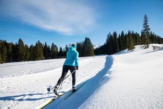 Ferienwohnung in Unterwirts Almhütte auf der Winklmoosalm - Reit im Winkl - 3