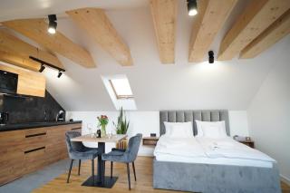 Beskidzka9 & Free Sauna - Szczyrk - 6