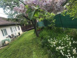 Casuta Sanatatii - 7