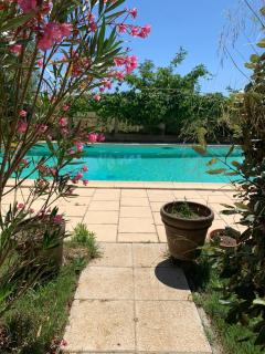 Douceur de Vignes - 9