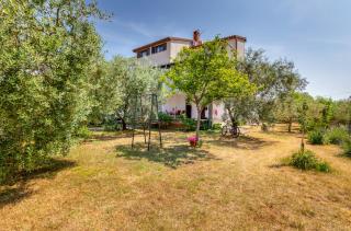 Studio Apartment Luana - Fasana - 4