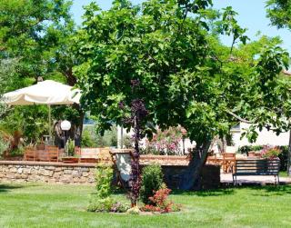 Agriturismo Vecchio Imposto - Massa Marittima - 7