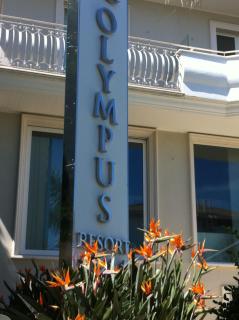 Olympus Resort - Alba Adriatica - 5